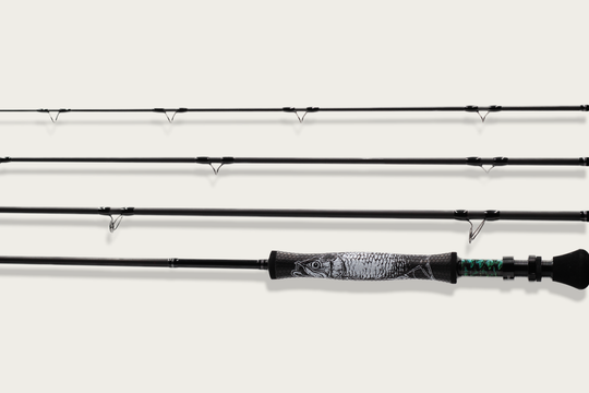 Folklore 9-foot 10-weight fly rod, all four sections